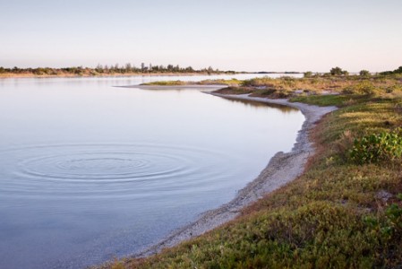 gulf coast lagoon